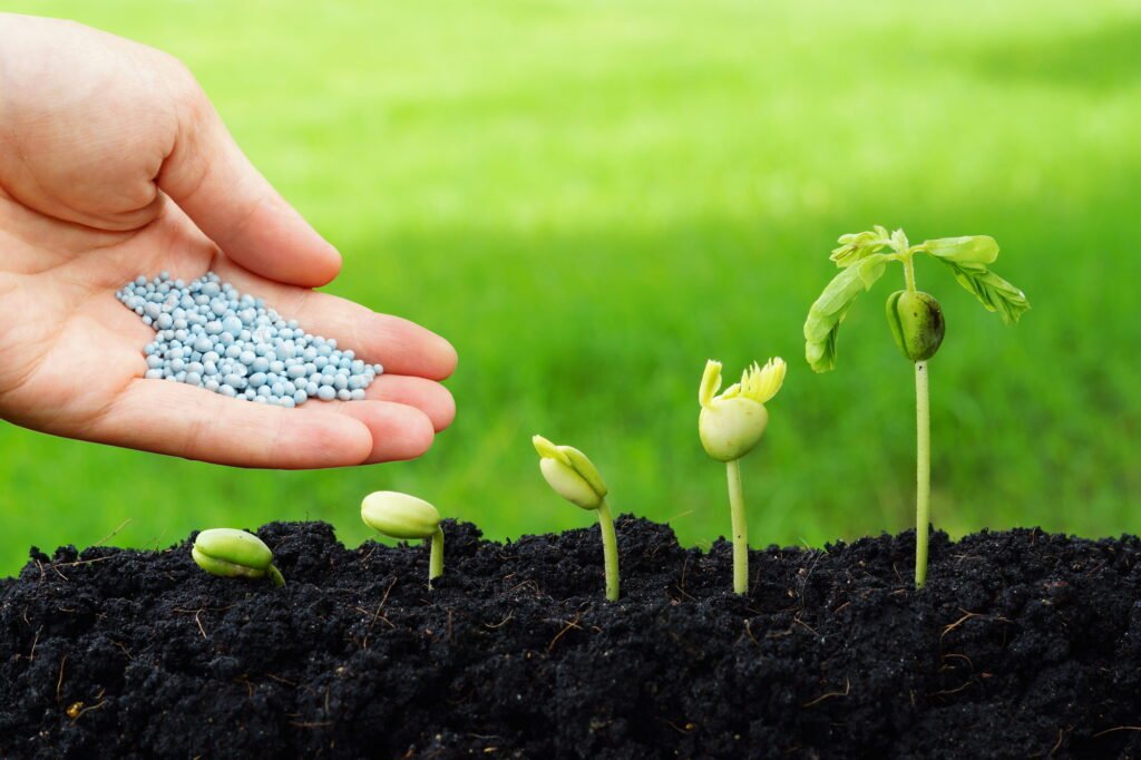 La Importancia Del Boro En La Nutrición Vegetal - SynerCrops